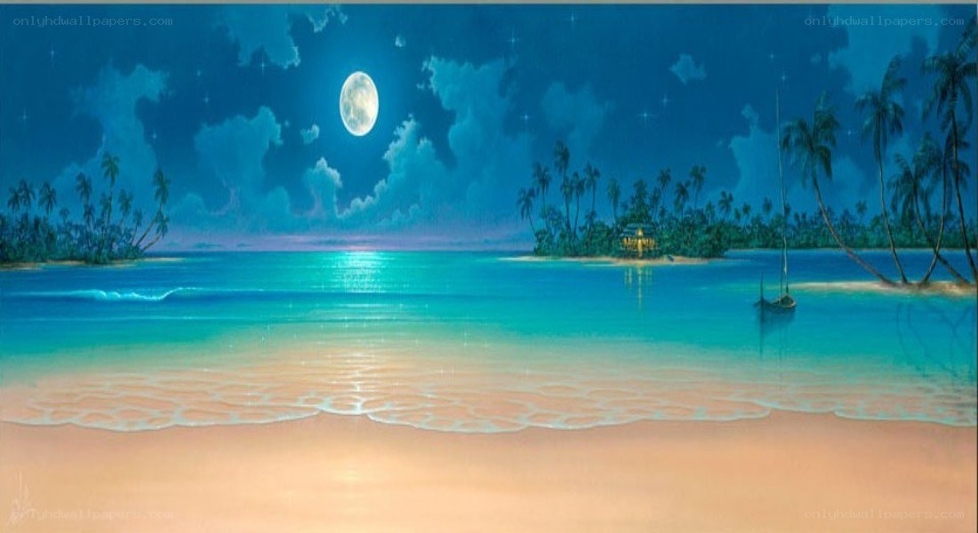 Moonlit tropical beach at night