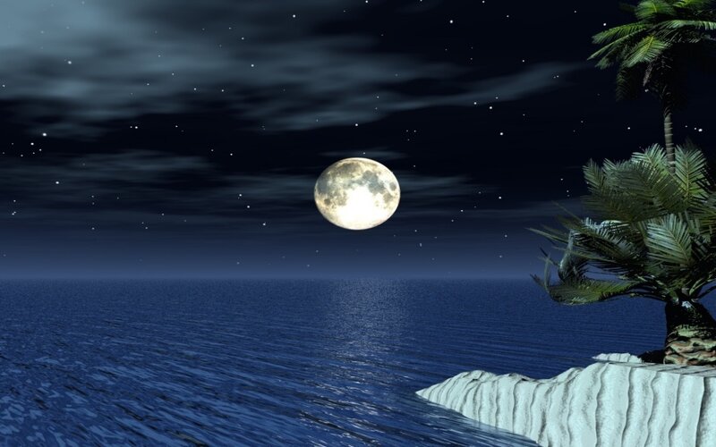 Moonlit tropical beach at night