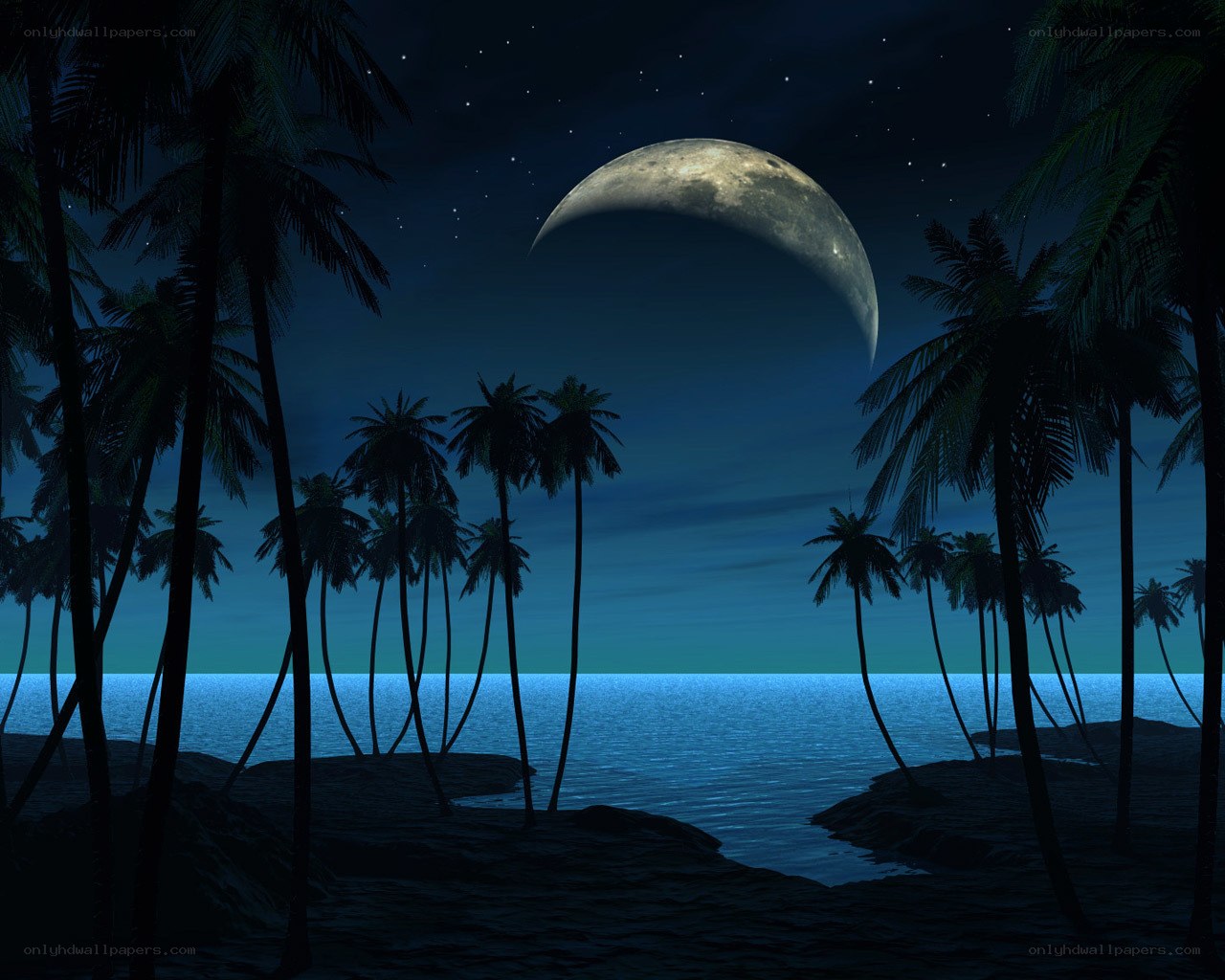 Moonlit tropical beach at night