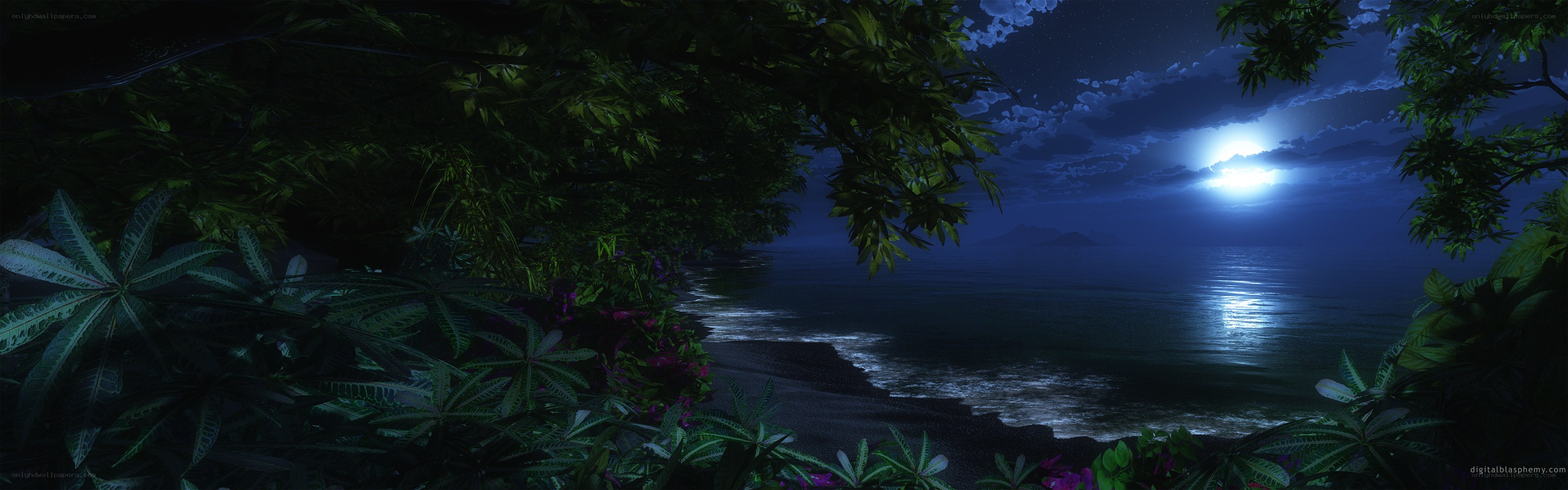 Moonlit tropical beach at night