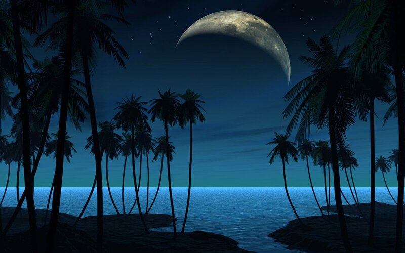 Moonlit tropical beach at night
