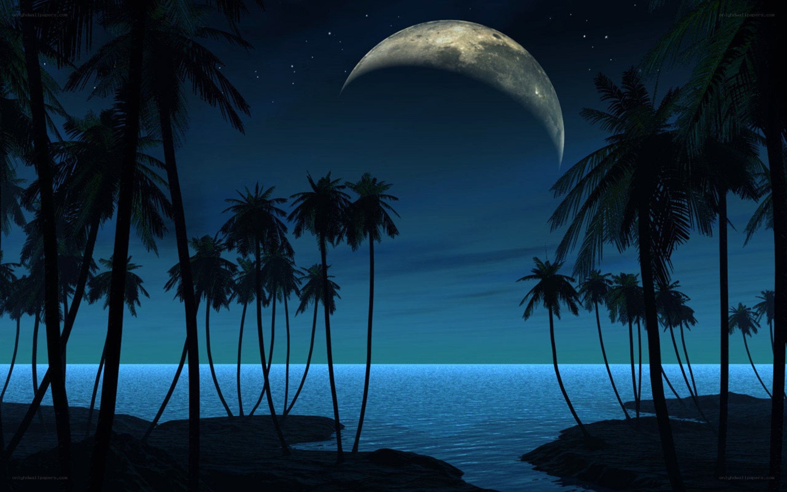 Moonlit tropical beach at night
