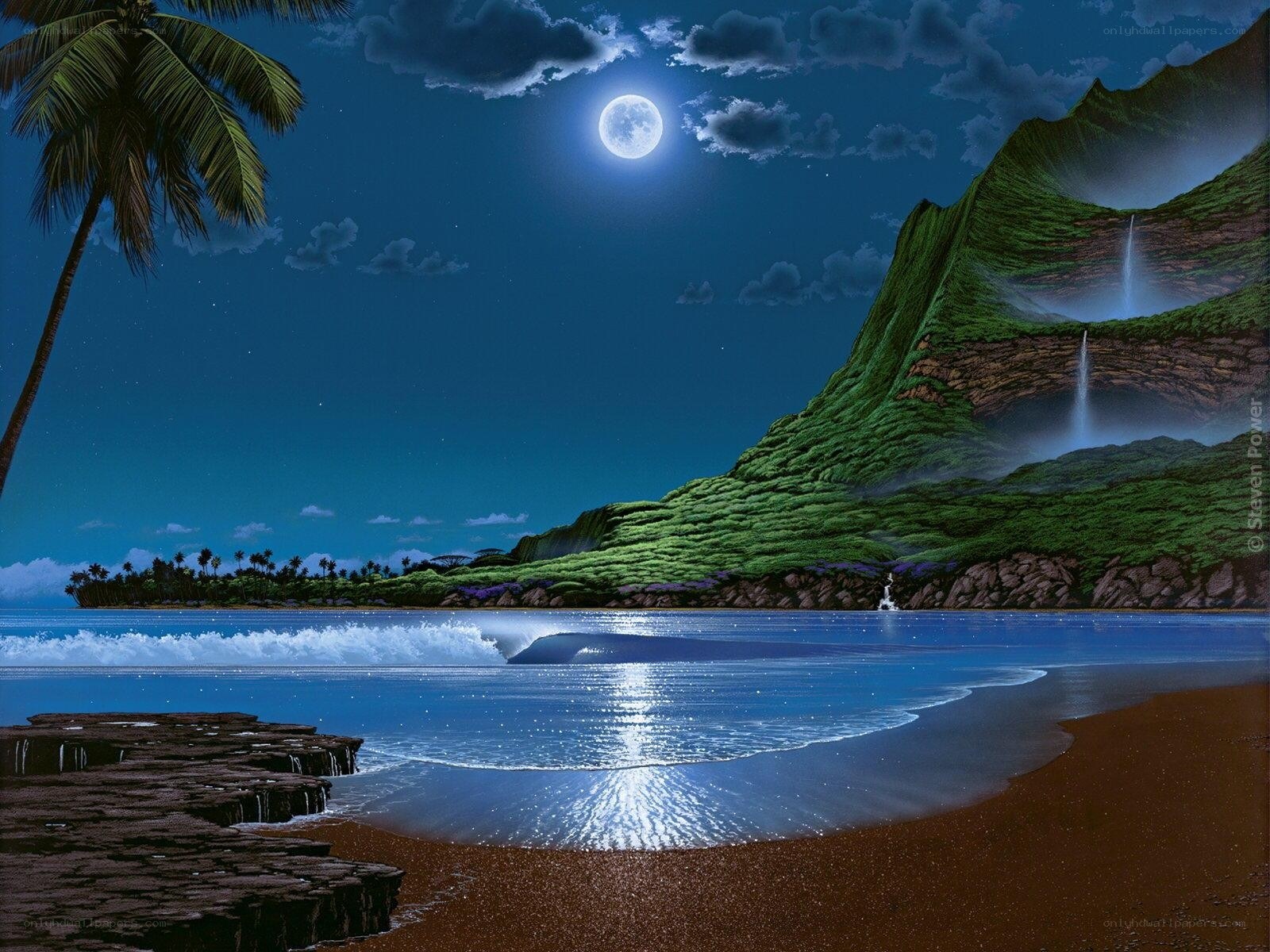 Moonlit tropical beach at night
