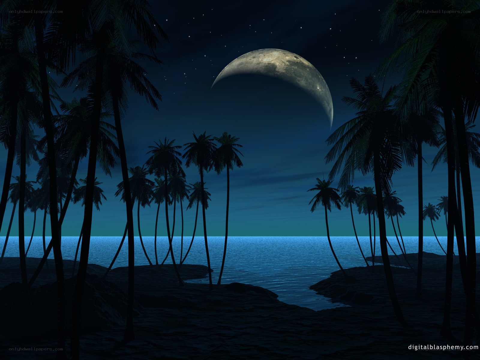 Moonlit tropical beach at night