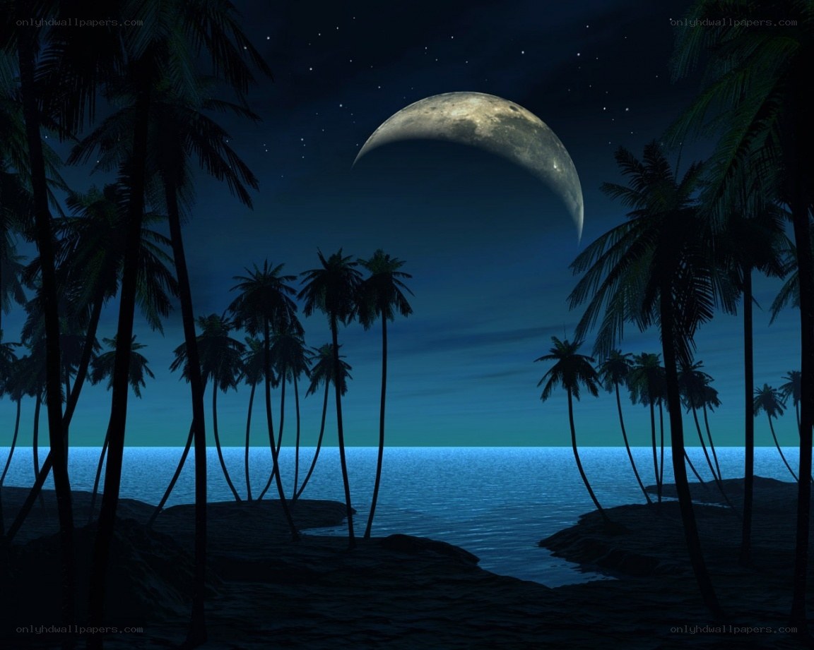 Moonlit tropical beach at night