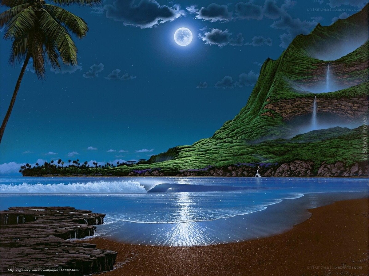 Moonlit tropical beach at night