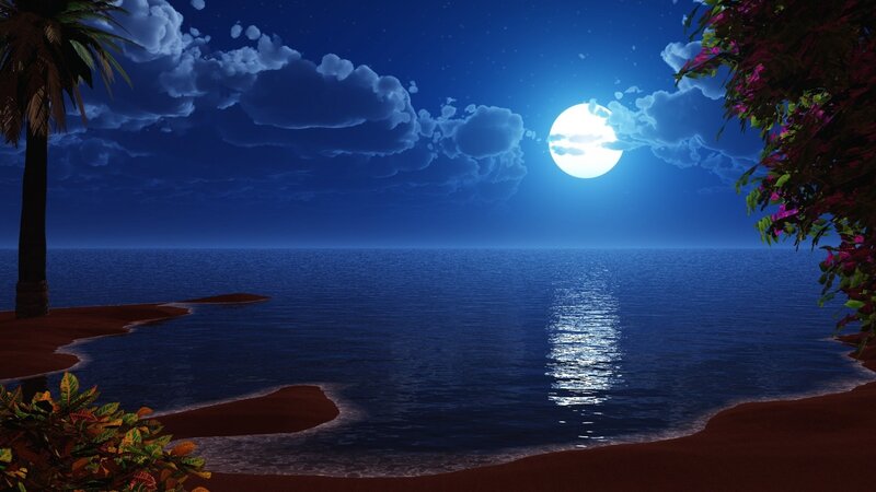 Moonlit Tropical Beach — Blue, Serene