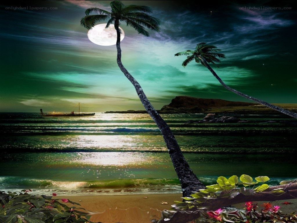 Moonlit tropical beach scene
