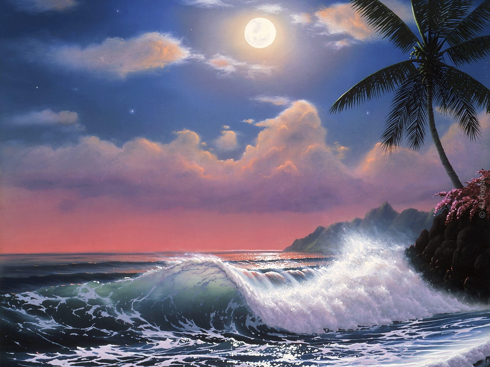 Moonlit tropical beach scene