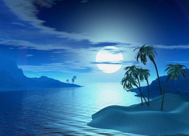 Moonlit tropical island at night