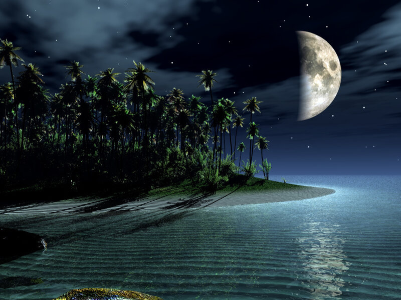 Moonlit tropical island at night