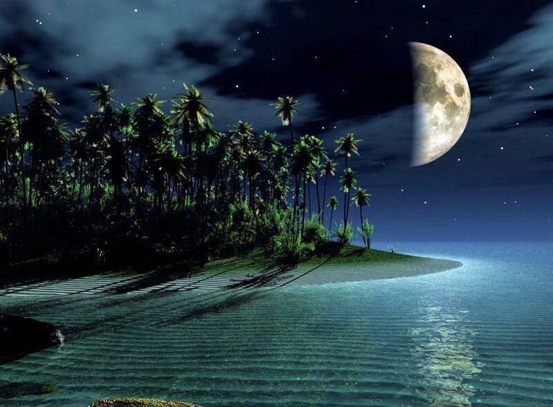 Moonlit tropical island at night