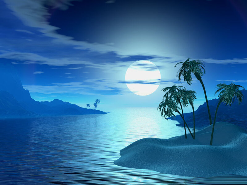 Moonlit tropical island at night
