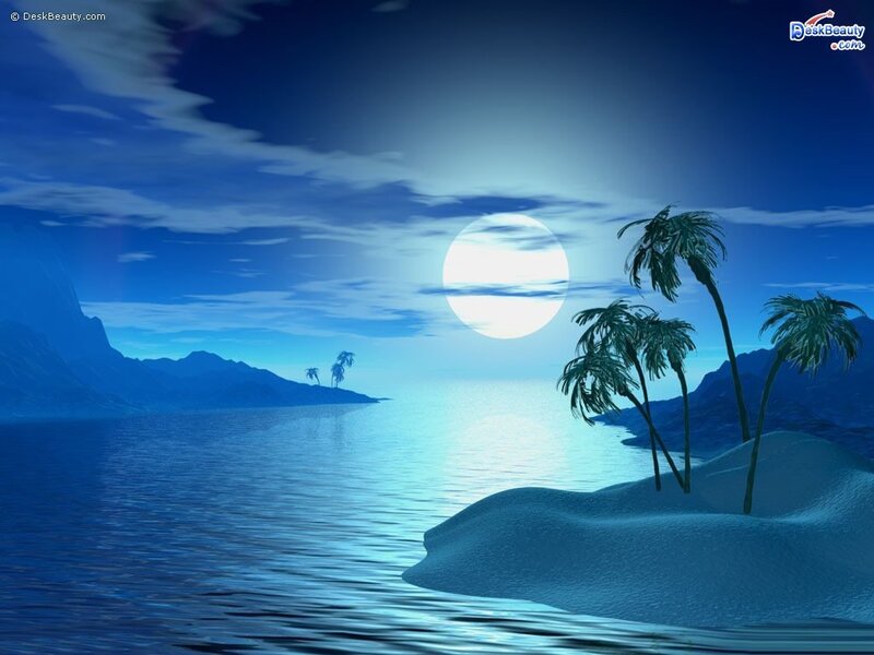 Moonlit tropical island at night