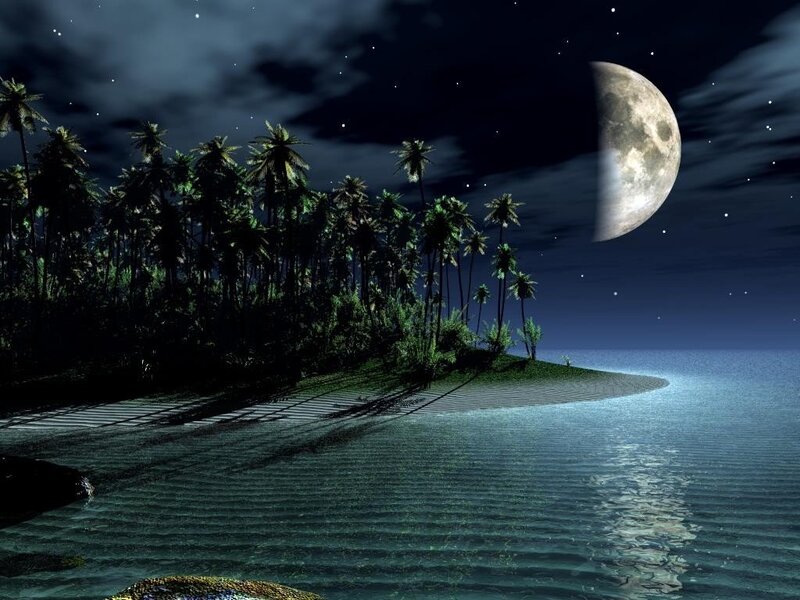 Moonlit tropical island at night