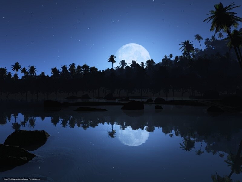 Moonlit Tropical Lagoon — Blue, Serene