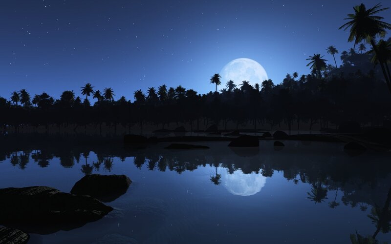 Moonlit tropical lagoon