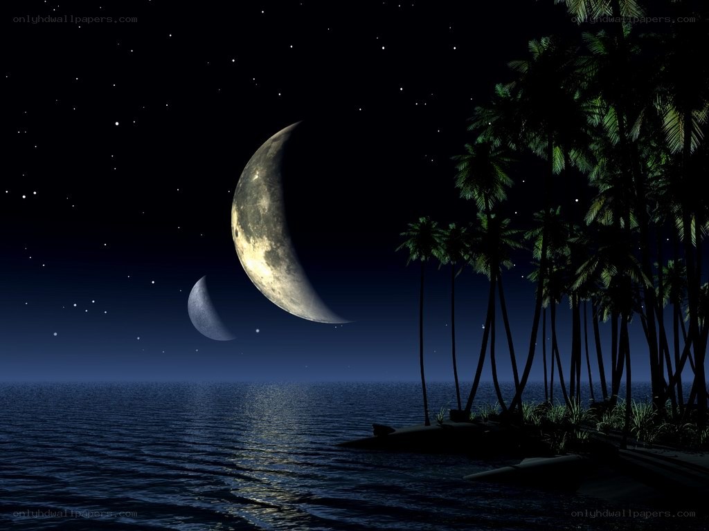 Moonlit tropical night scene