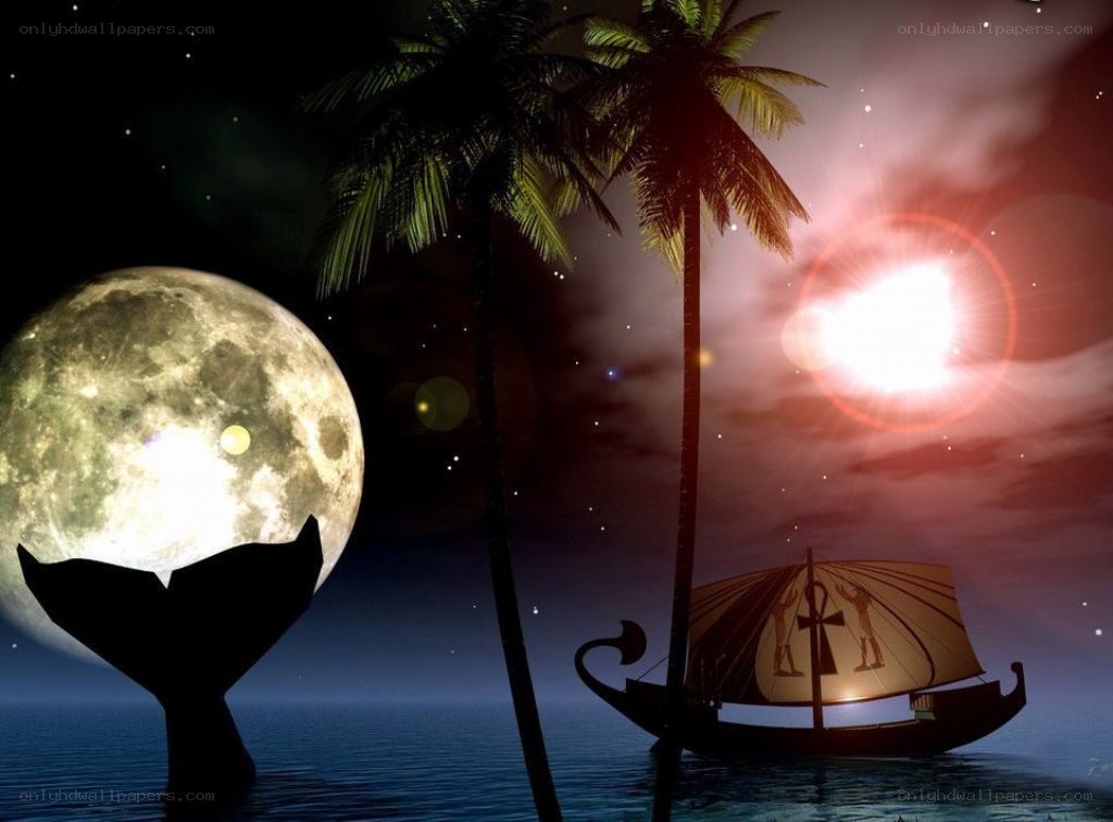 Moonlit tropical night scene