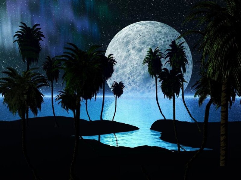 Moonlit tropical night scene
