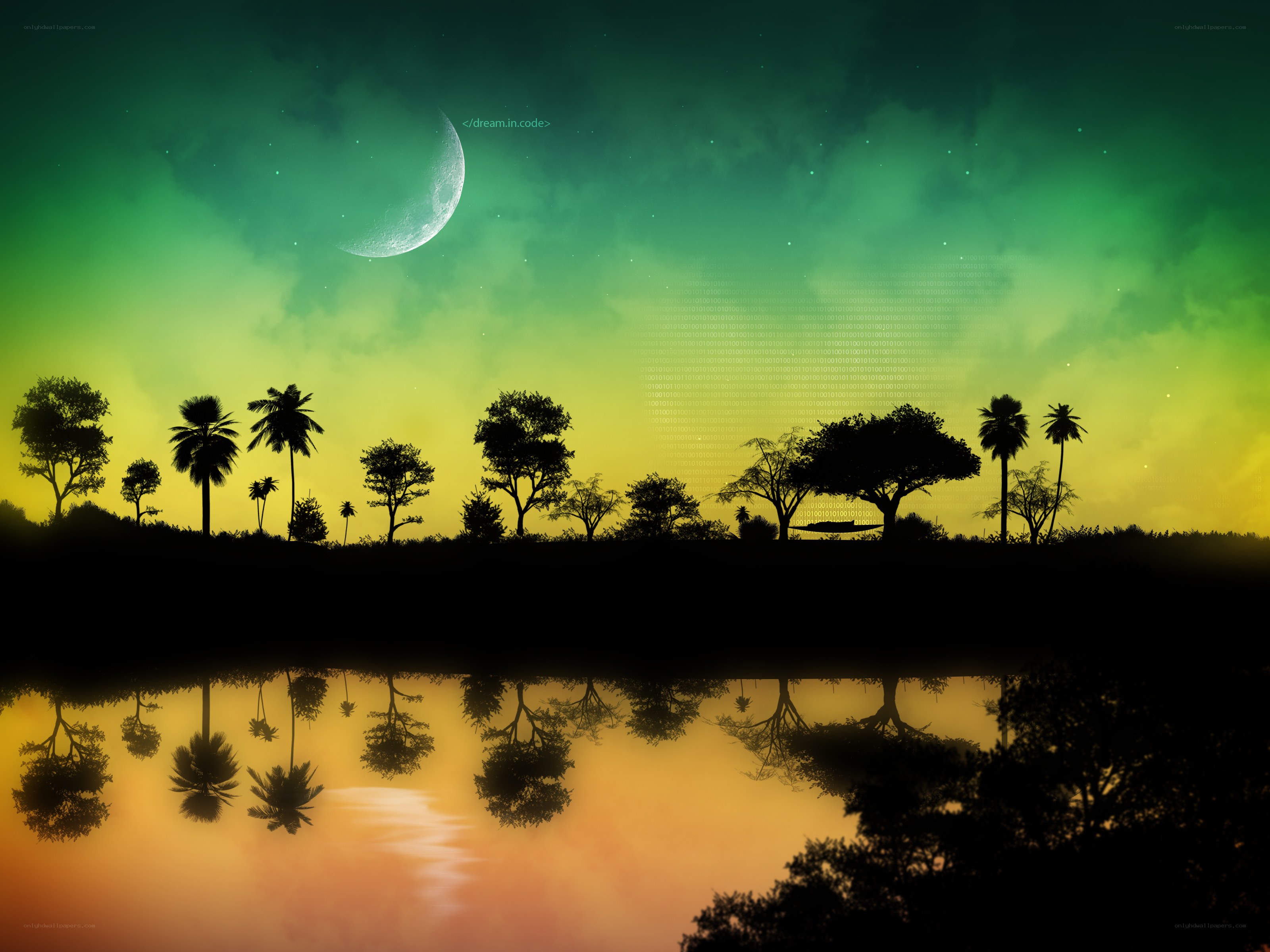 Moonlit tropical reflection