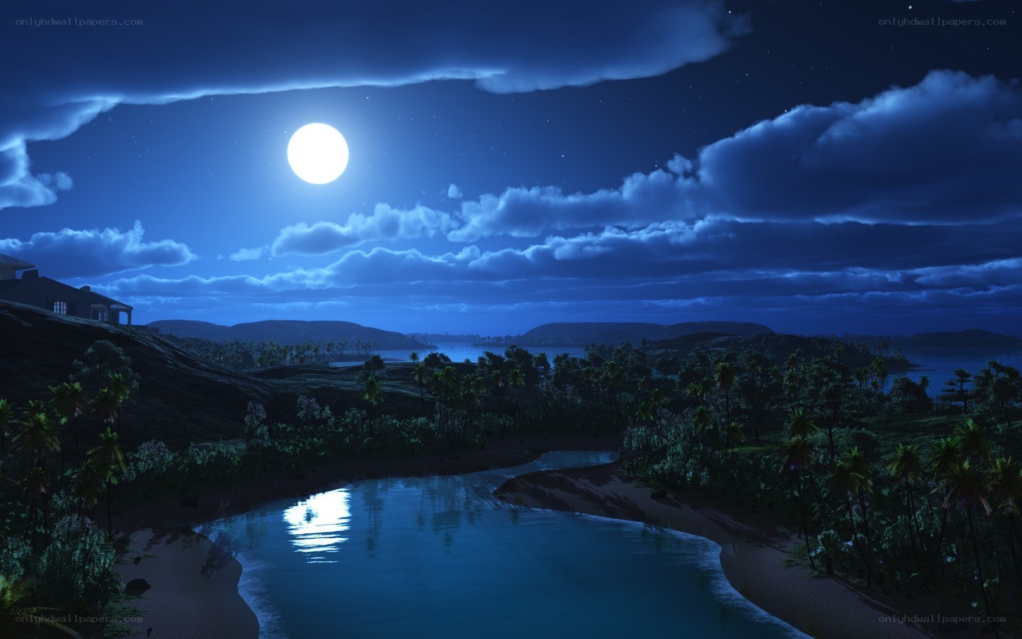 Moonlit tropical river at night
