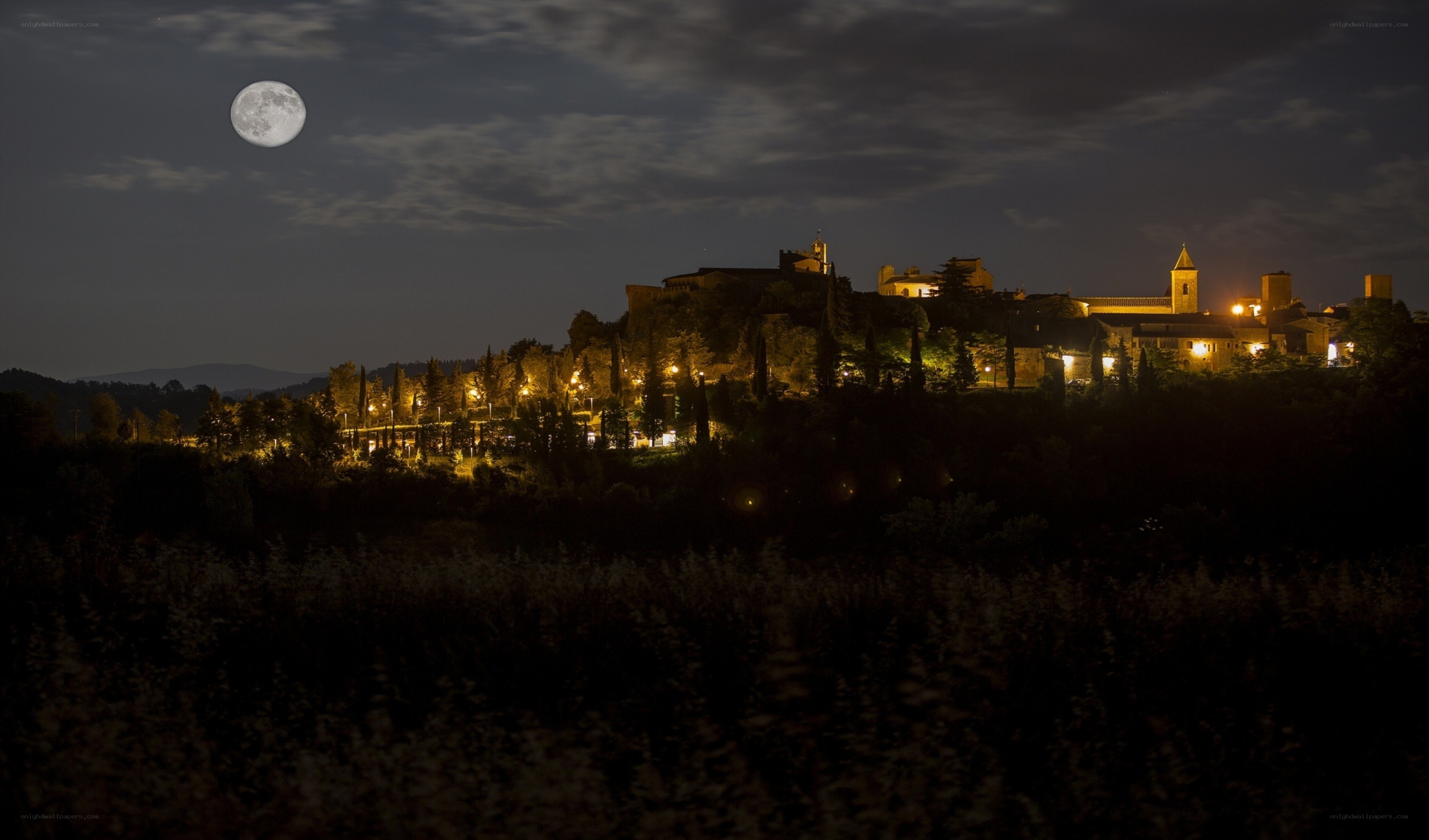 Moonlit village at night