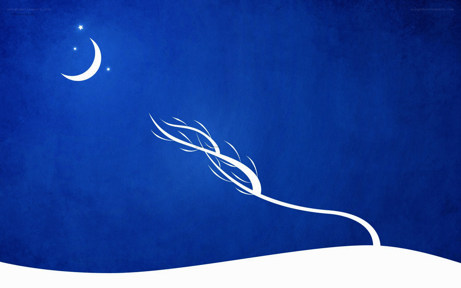 Moonlit wheat stalk