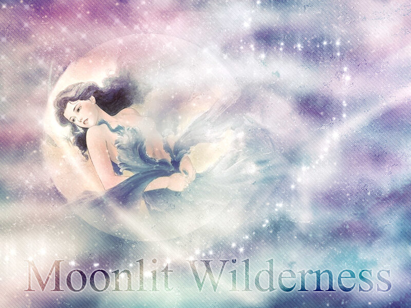 Moonlit Wilderness