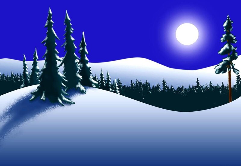 Moonlit winter forest