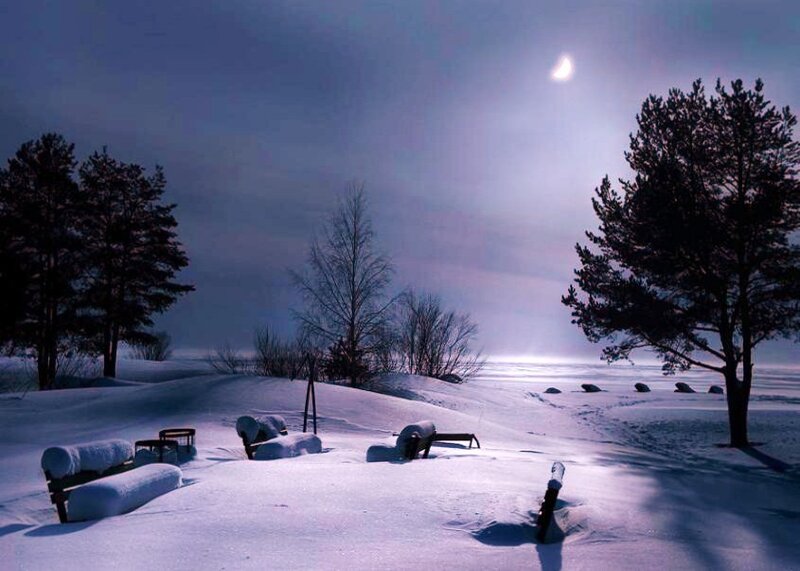 Moonlit winter landscape