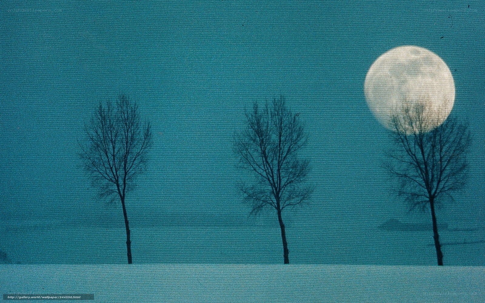 Moonlit winter landscape