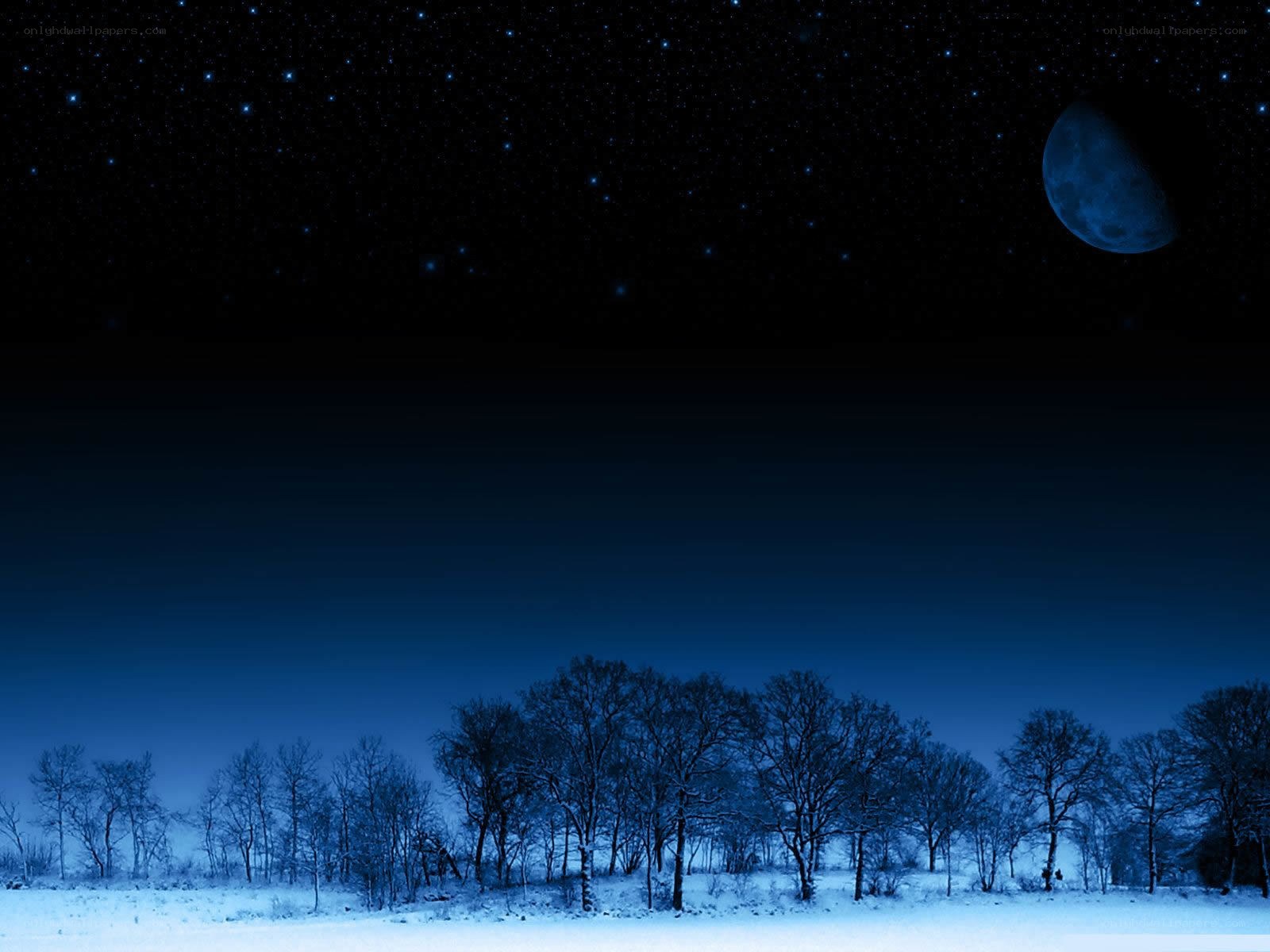 Moonlit winter night