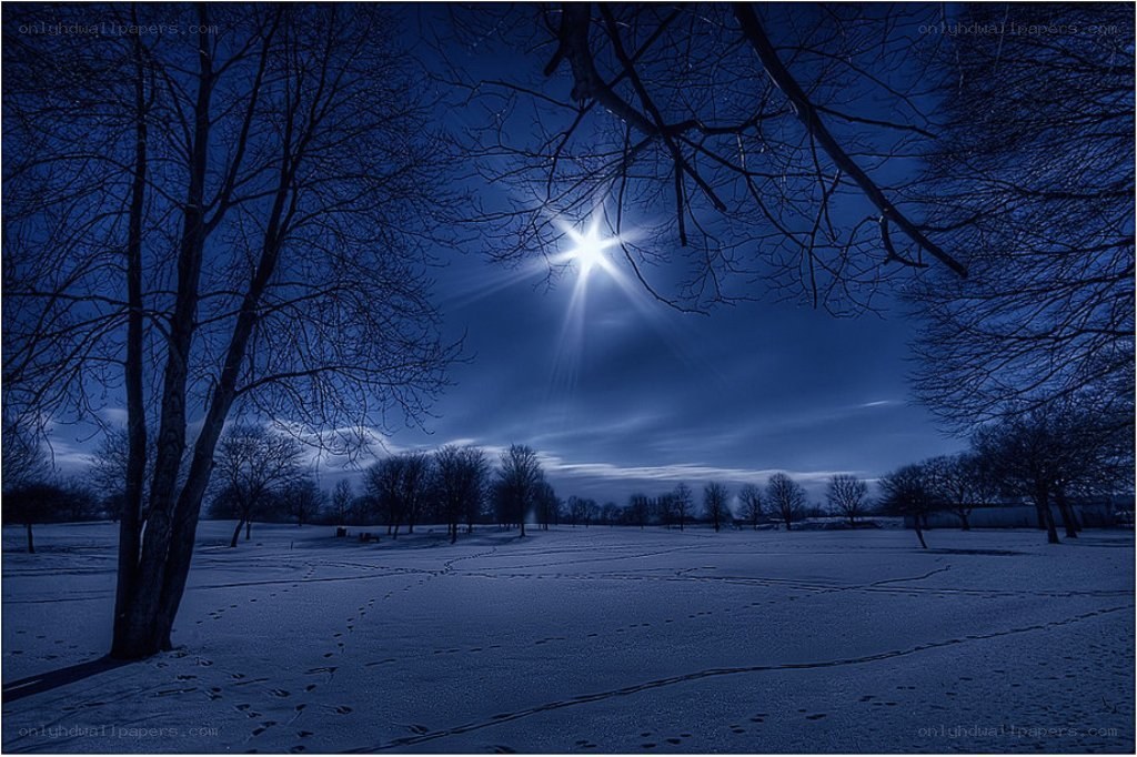 Moonlit winter night in park
