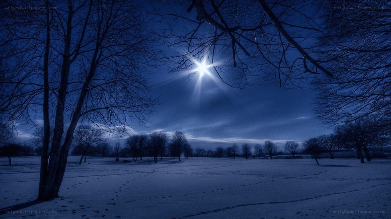 Moonlit winter night in park