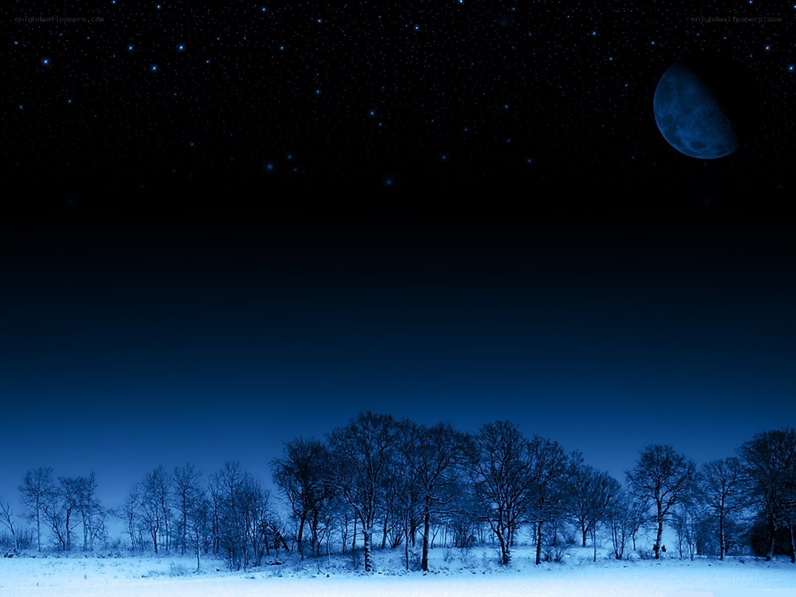 Moonlit winter night landscape