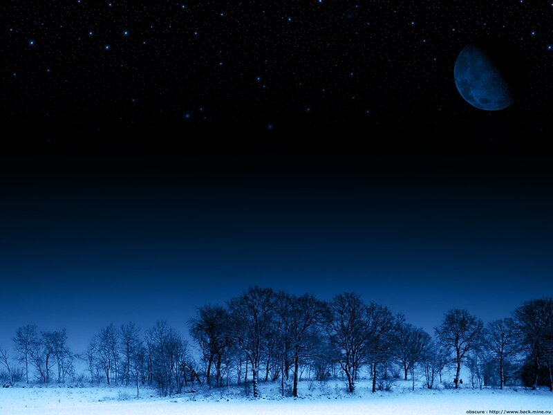 Moonlit winter night landscape