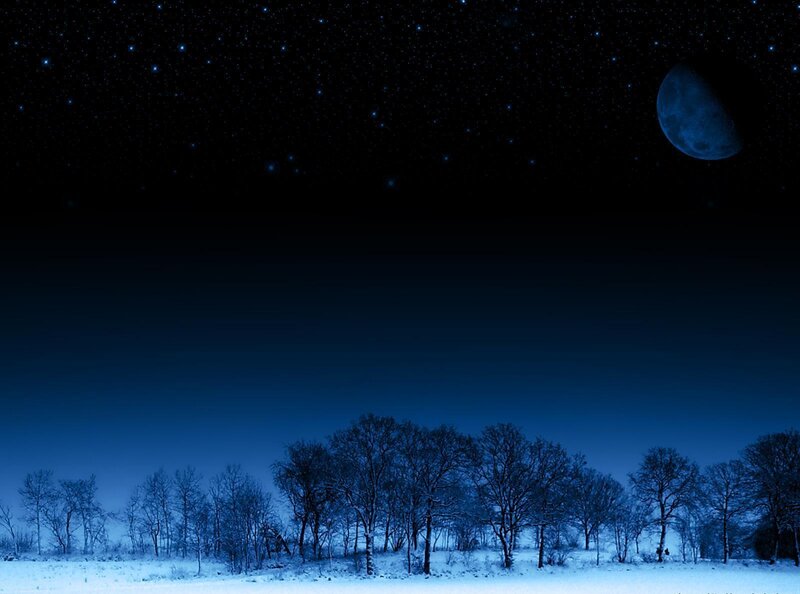 Moonlit winter night landscape