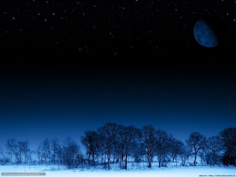 Moonlit winter night landscape