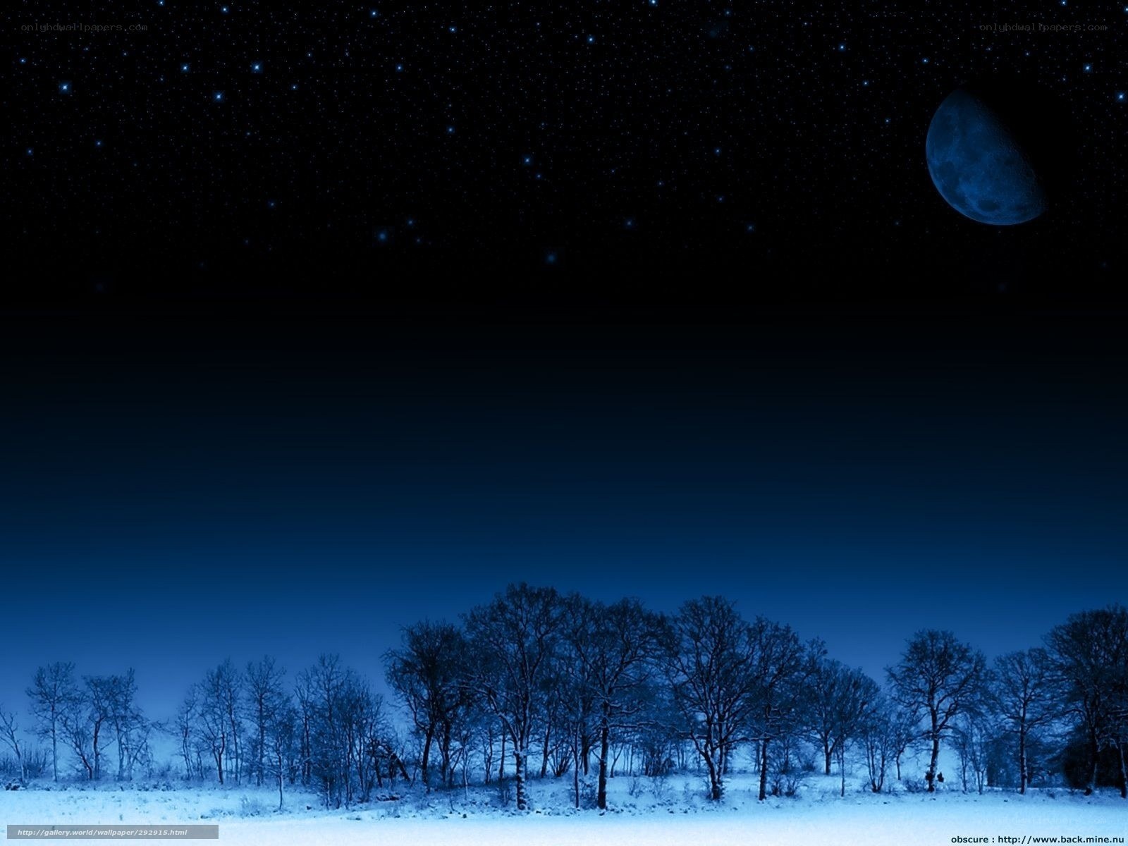 Moonlit winter night landscape