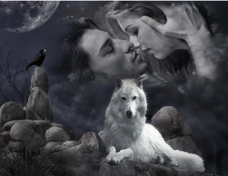 moonlit wolf and lovers