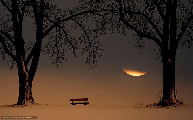 Moonrise between bare trees
