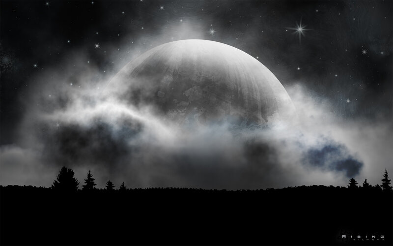 Moonrise over a forest