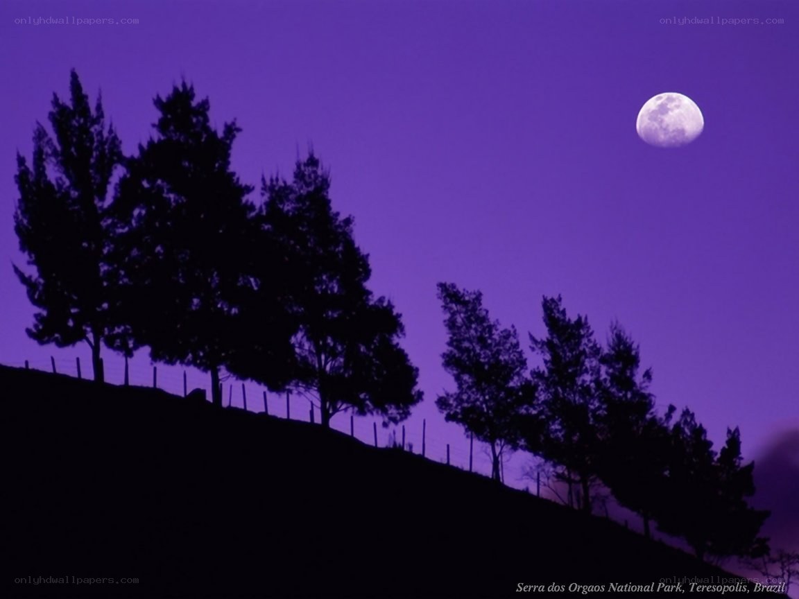 Moonrise over a hill