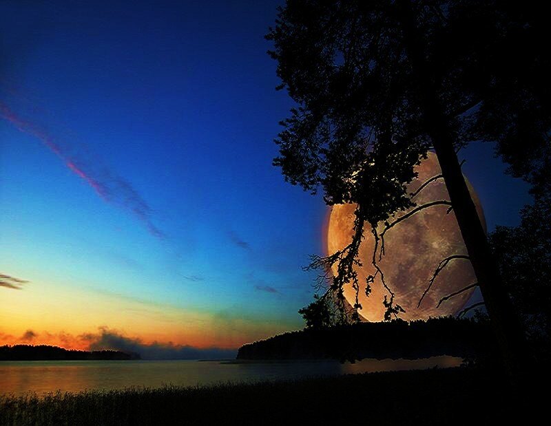 Moonrise over a lake at dusk