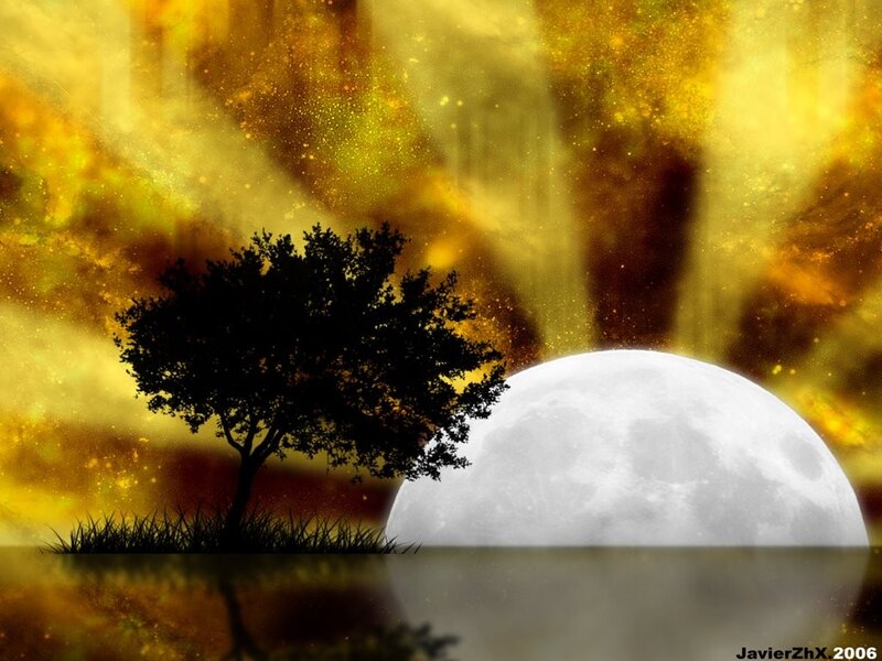Moonrise over a lone tree