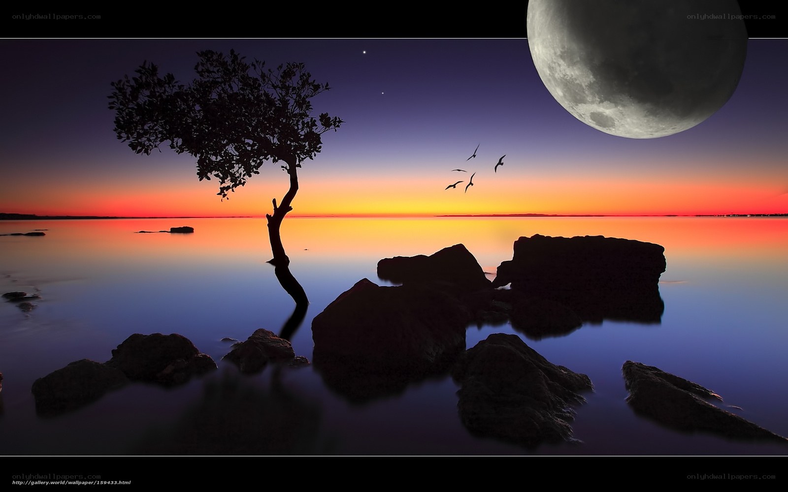 Moonrise over a lone tree