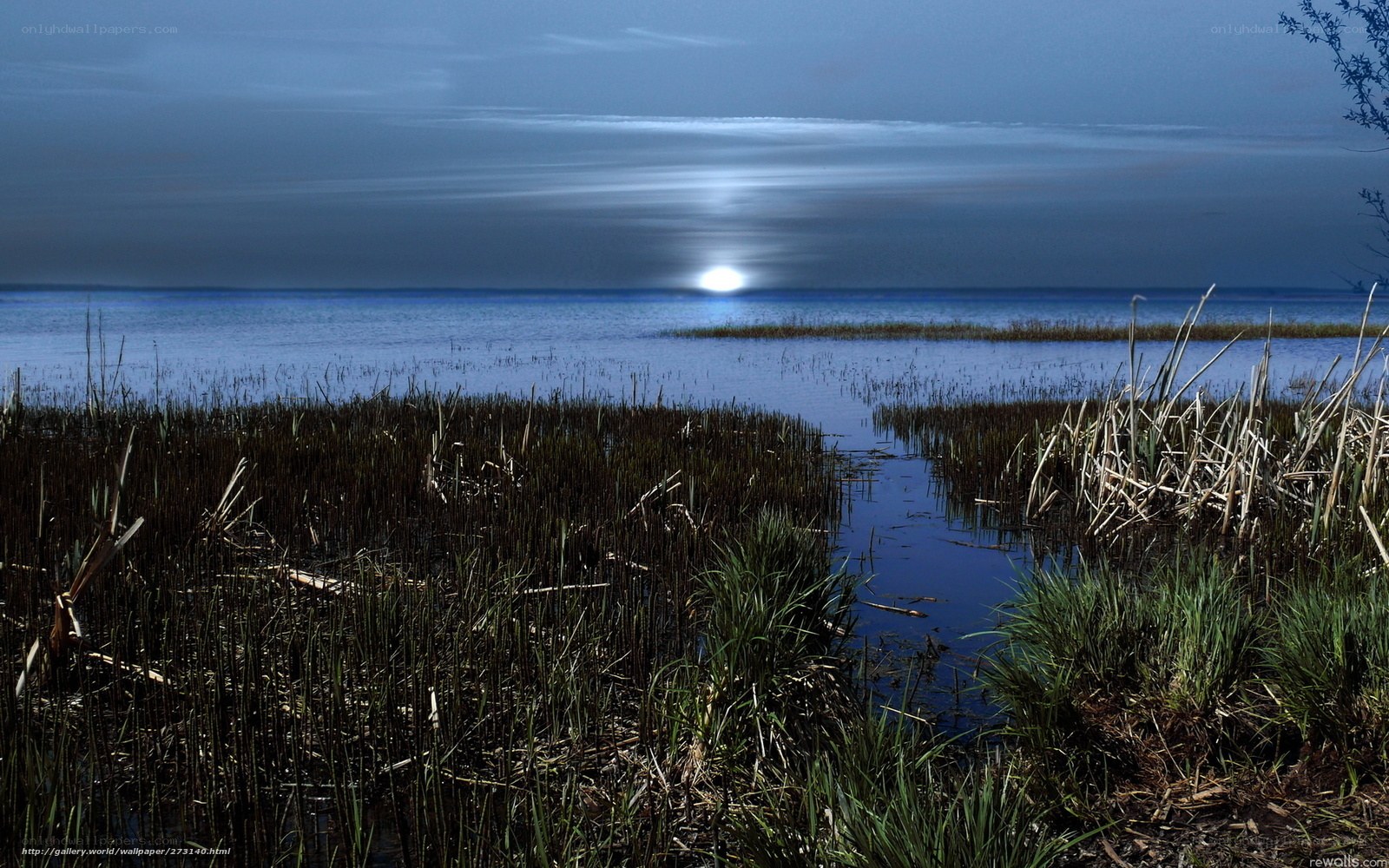 Moonrise over a marsh