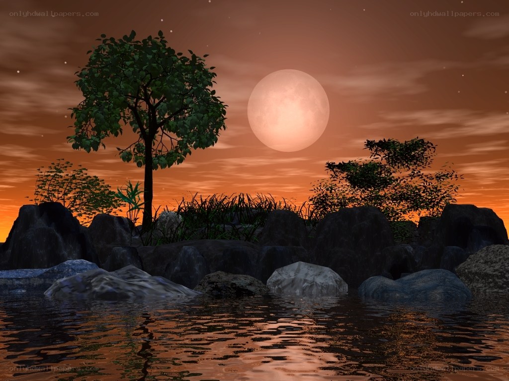 Moonrise over a tranquil lake