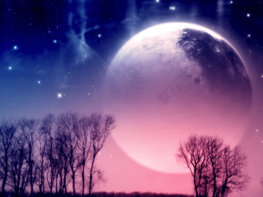 Moonrise over bare trees